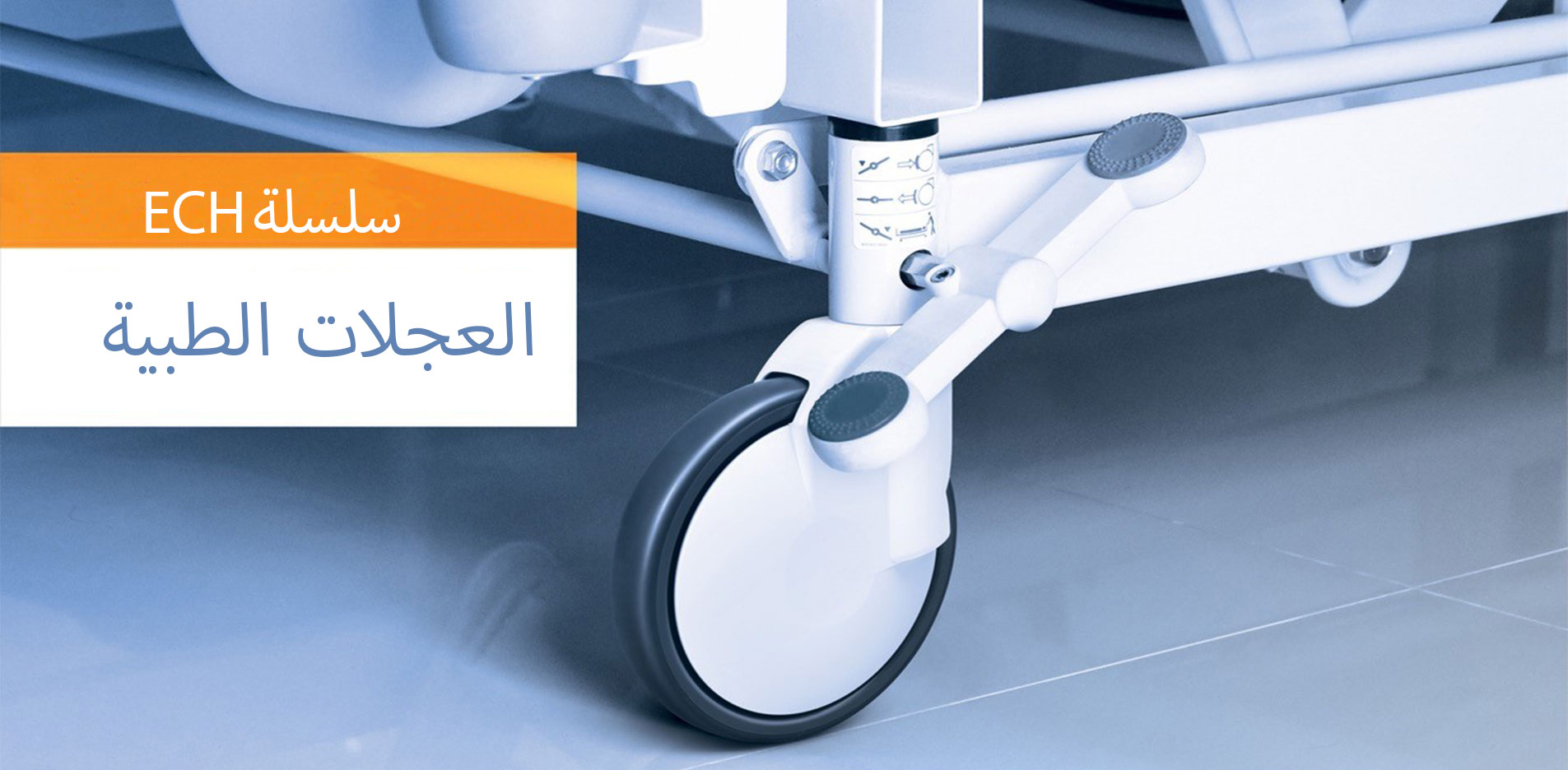 المنتجات الجديدة